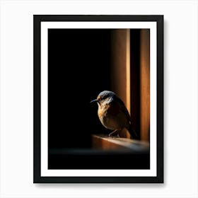 beautiful bird Art Print