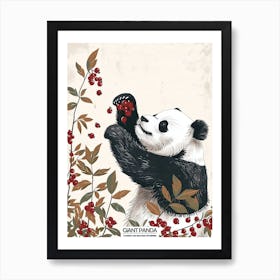 Giant Panda Standing And Reaching For Berries Poster 5 Art Print