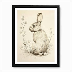 Cinnamon Rabbit Drawing 4 Art Print