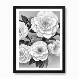 Camellia B&W Pencil 1 Flower Art Print