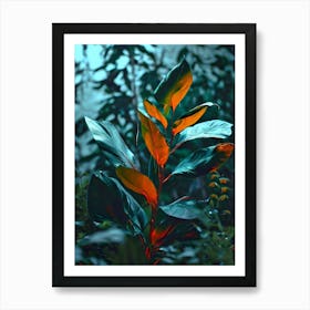 Leaf In The Forest Art Print