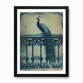 Vintage Peacock On A Banister Cyanotype Inspired 1 Art Print