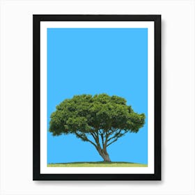 Lone Tree Against Blue Sky Art Print
