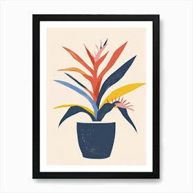 Bromeliad Plant Minimalist Illustration 7 Art Print