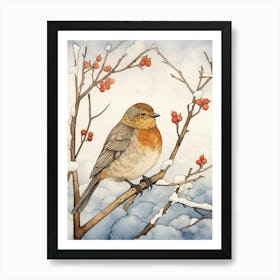 Bird Illustration Bluebird 3 Art Print