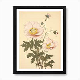 Hanaichige Japanese Anemone 3 Vintage Japanese Botanical Art Print