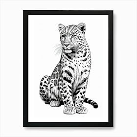 Leopard Drawing Art Print