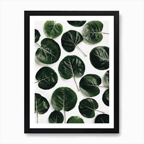 Green Leaves Art Print