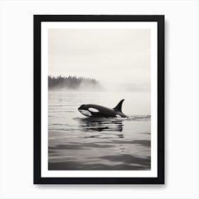 Misty Orca Whale Peeping Our Of Cold Ocean Art Print