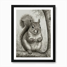 Squirrel On A Branch Art Print