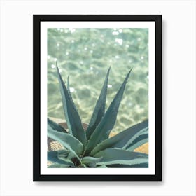 Refreshing Agave 1 Art Print