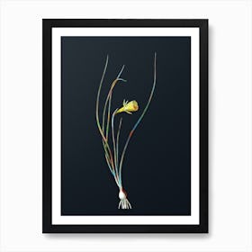 Vintage Daffodil Botanical Watercolor Illustration on Dark Teal Blue n.0612 Art Print