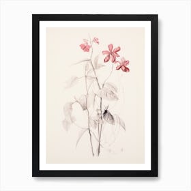 Vintage Floral Sketch Art Print