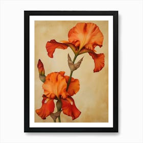 2024 May Poster Canvas Sng Iris 36 Art Print