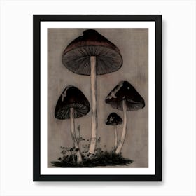 Three Mushrooms Art Print