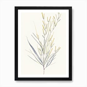 Ephedra Herb Minimalist Watercolour 2 Art Print