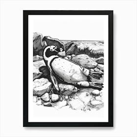 African Penguin Sunbathing On Rocks 3 Art Print