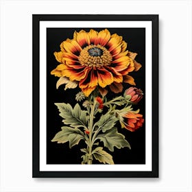 Indian Blanket 1 Art Print