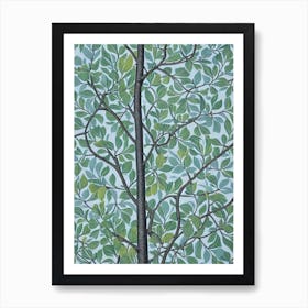 Quaking 2 Aspen tree Vintage Botanical Art Print