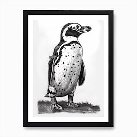 African Penguin Standing Tall And Proud 2 Art Print