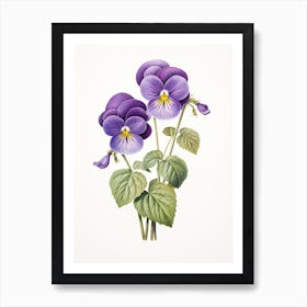Violets Flower Vintage Botanical 0 Art Print