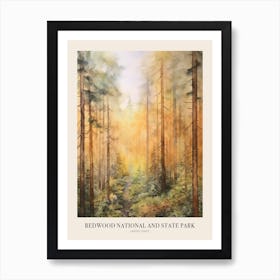 Autumn Forest Landscape Redwood National And State Park Poster Art Print