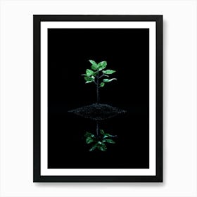 Reflection Of A Tree Art Print