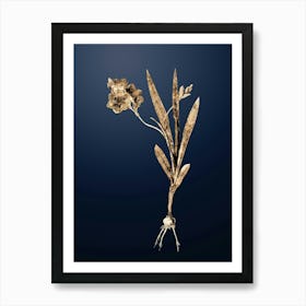 Gold Botanical Ixia Miniata on Midnight Navy n.3905 Art Print