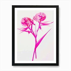 Hot Pink Bird Of Paradise 1 Art Print