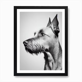 Wirehaired Vizsla B&W Pencil Dog Art Print