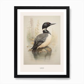 Vintage Bird Drawing Loon 2 Poster Art Print