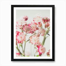 Nostalgic spring and summer flowers in pink and white - nature stillife photography by Christa Stroo Photography Art Print