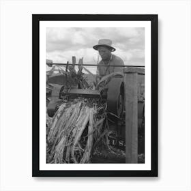 Mormon Farmer Extracting Juice From Cane, Ivins, Washington County, Utah By Russell Lee Art Print