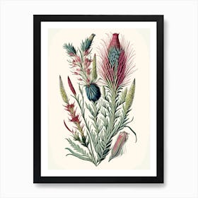 Gayfeather Wildflower Vintage Botanical Affiche