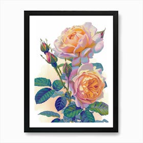 English Roses Painting Dotted Line 1 Art Print