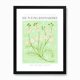 UK County Flowers Huntingdonshire Water Violet Art Print