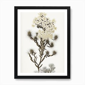 Johnston S Joshua Tree Gold And Black Art Print