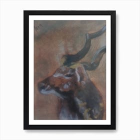 Kudu hiding Art Print