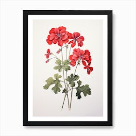 Geraniums Flower Vintage Botanical 3 Art Print