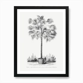 Vintage Palm Tree Art Print _2643192 Art Print