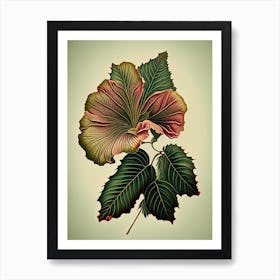 Hibiscus Leaf Vintage Botanical 1 Art Print