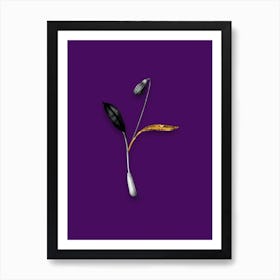 Vintage Erythronium Black and White Gold Leaf Floral Art on Deep Violet Art Print
