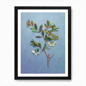 Vintage White Honeysuckle Plant Botanical Art on Summer Song Blue n.0017 Art Print