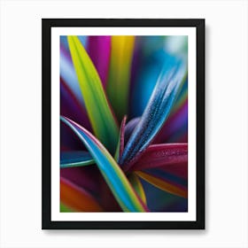 Colorful Leaves Of A Plant Art Print