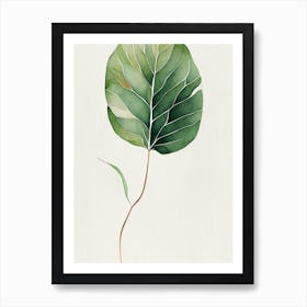 Wild Yam Leaf Minimalist Watercolour 2 Art Print