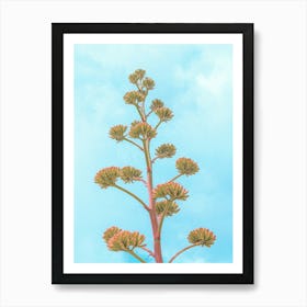 Agave Cactus "Century Plant" Flower Stalk Bloom Art Print