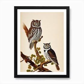 Eastern Screech Owl James Audubon Vintage Style Bird Art Print