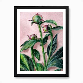 Peony Floral Watercolor Painting Art Print