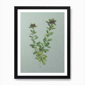 Vintage Daphne Sericea Flowers Botanical Art on Mint Green n.0500 Art Print