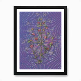 Vintage Heath Mirbelia Branch Botanical Illustration on Veri Peri n.0838 Art Print